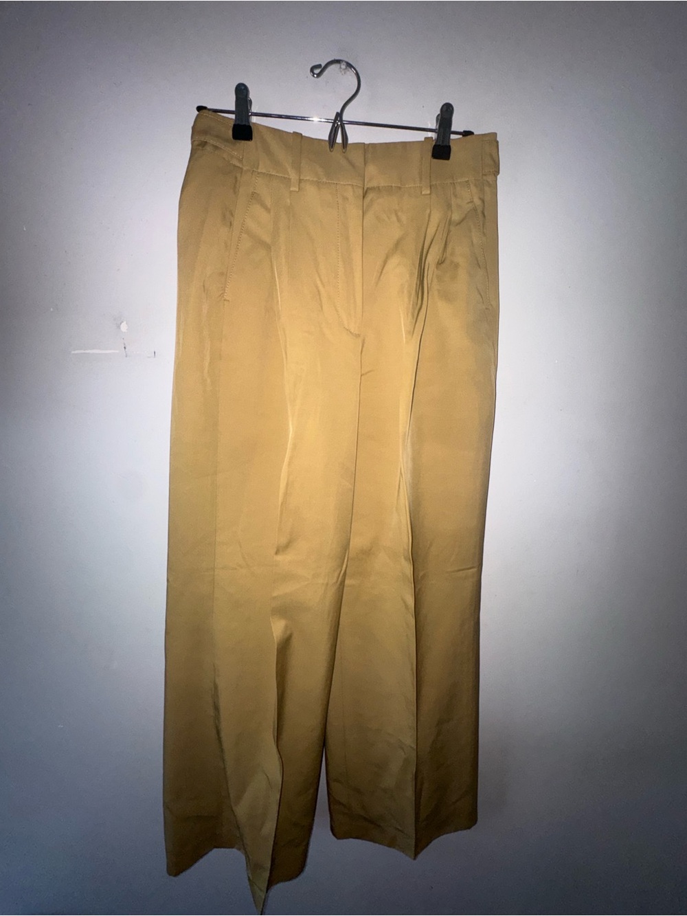 Zara Classic Pleated Dress Pants - Tan
